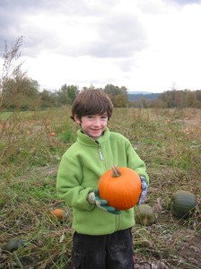 Pumpkins - Halloween 010